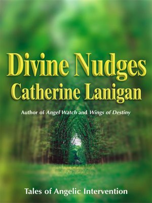 cover image of Divine Nudges